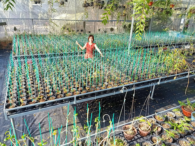 Bà chủ Vườn lan Thu Thanh: Từ vùng quê nghèo đến vườn lan 5.000 chậu - 3