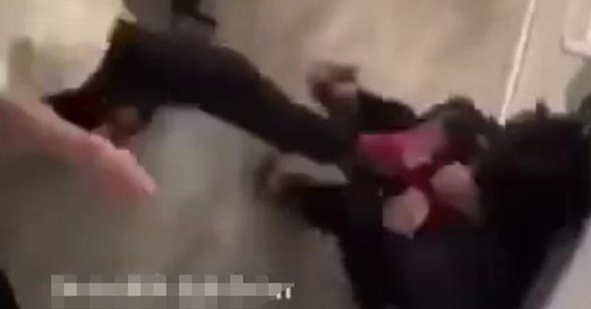 Pháp luật - Nhóm học sinh liều lĩnh đánh hội đồng bạn ngay trong trường