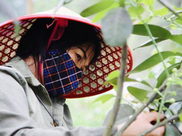 Thị trường - Tiêu dùng - Nông dân Hà Tĩnh "se duyên" cho bưởi đặc sản