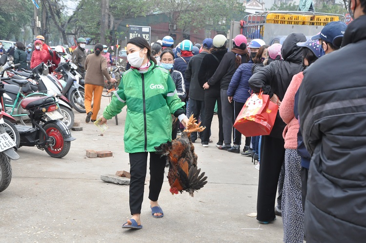 Gà đồi Chí Linh giá chỉ 55.000 đồng/kg, hàng trăm người Hà Nội xếp hàng mua giải cứu - 11