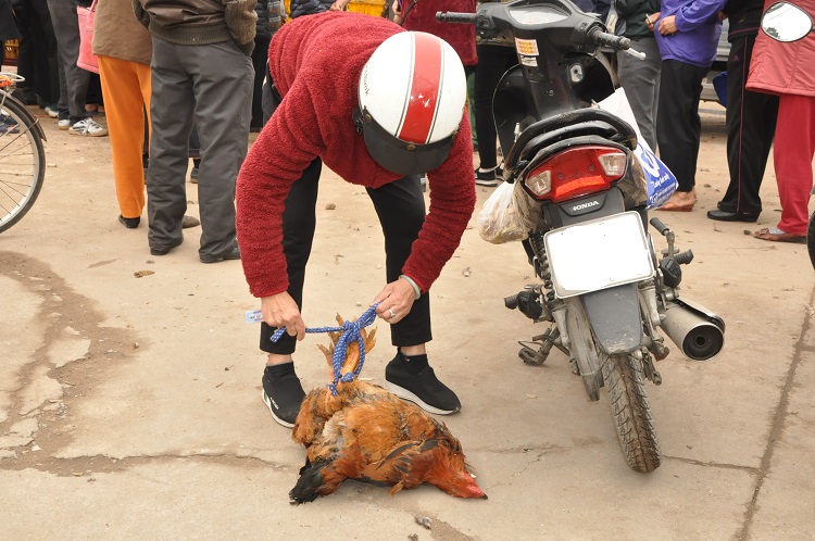 Gà đồi Chí Linh giá chỉ 55.000 đồng/kg, hàng trăm người Hà Nội xếp hàng mua giải cứu - 7