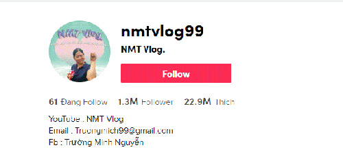 1, 3 triệu lượt follow, 23 triệu lượt thích chính là thành công ấn tượng của kênh tiktok NMT vlog
