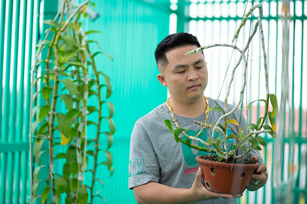 Lê Đăng Khoa chia sẻ bí quyết kích kie và ươm kie trên thân lan phi điệp nhanh, hiệu quả - 2