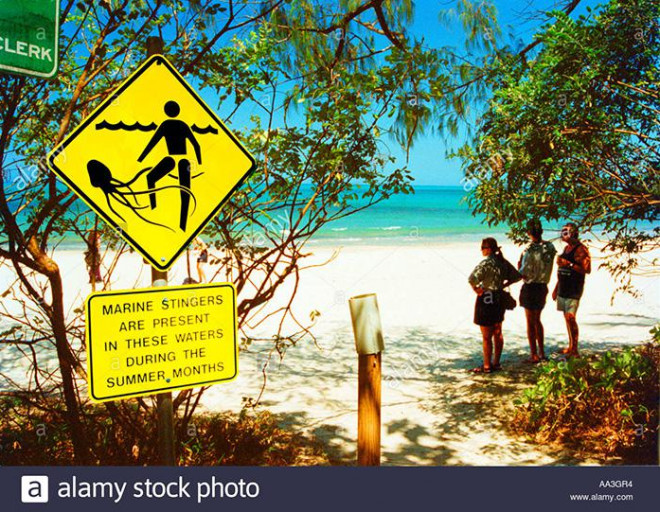 Du lịch mùa hè: Cẩn trọng với những bãi biển nguy hiểm nhất thế giới - 4