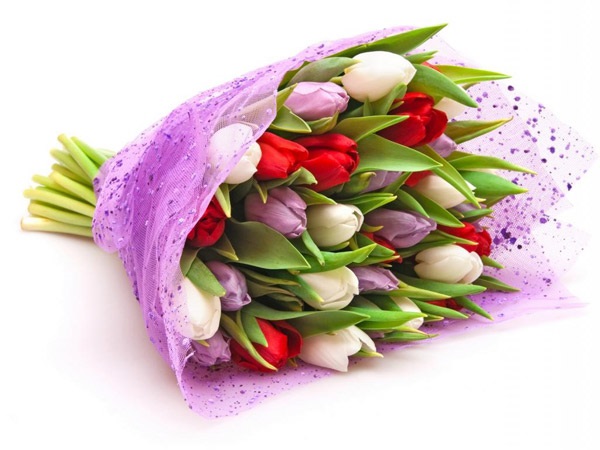 Những loài hoa 8/3 đẹp nên lựa chọn để dành tặng mẹ, vợ và bạn gái - 11