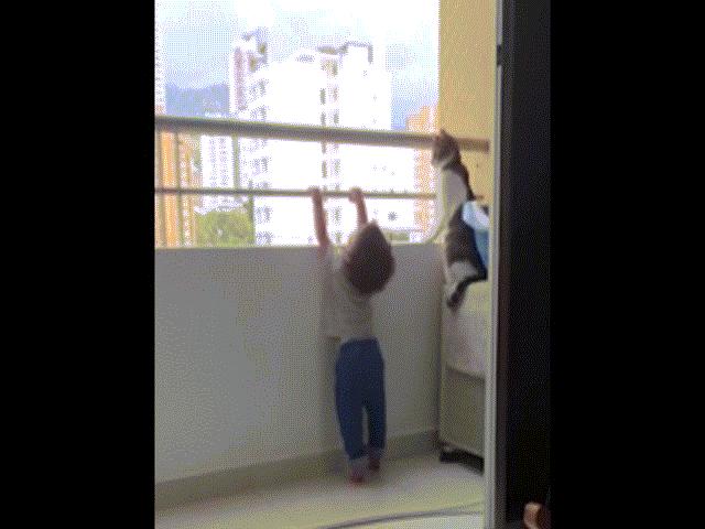 Bạn trẻ - Cuộc sống - Clip: "Bảo mẫu" mèo hành động không ngờ khi bé bám vào lan can