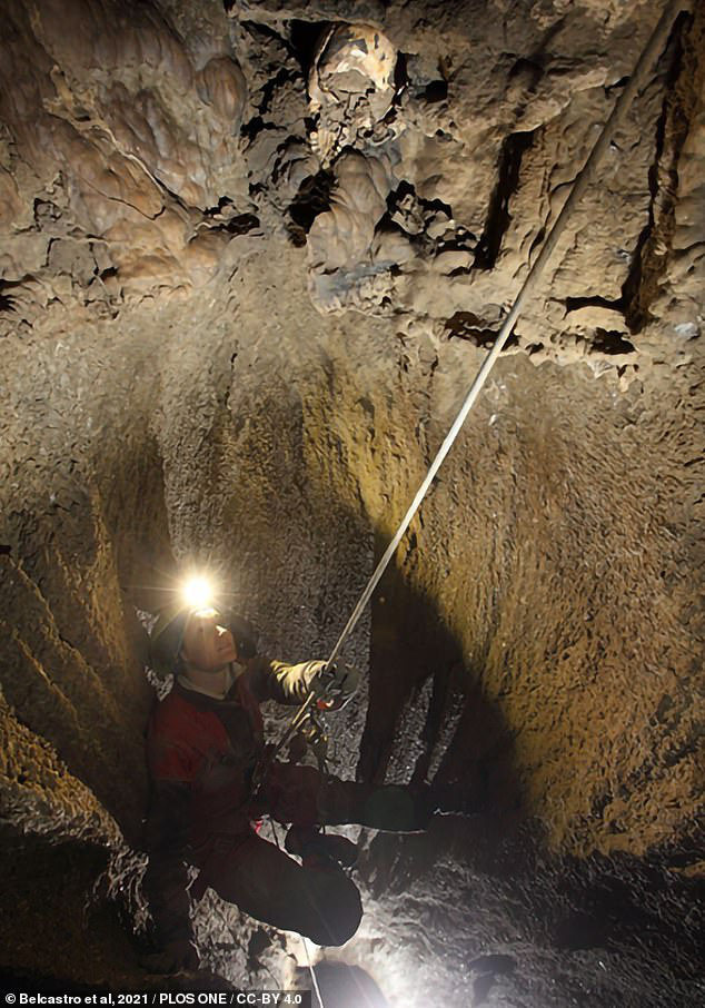 Một nhà khoa học đang tìm cách tiếp cận hộp sọ cô gái - Ảnh: PLOS ONE