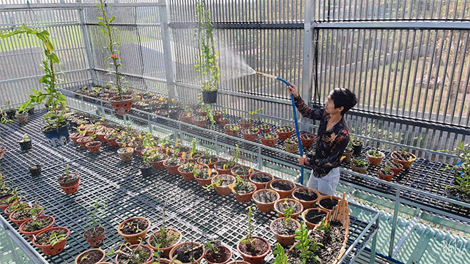 Ông chủ Cường Khuê Các với vườn lan giữa đại ngàn Tây Nguyên - 4