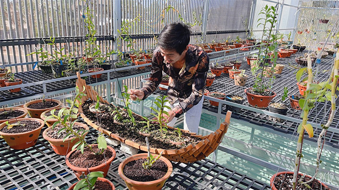 Ông chủ Cường Khuê Các với vườn lan giữa đại ngàn Tây Nguyên - 3