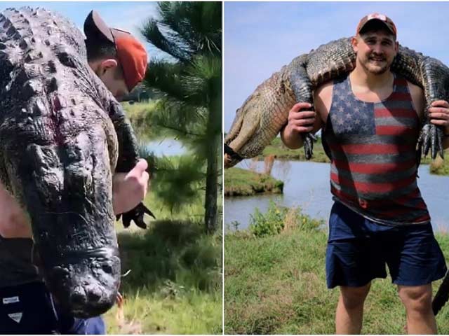 Thể thao - Trợn tròn mắt cầu thủ Mỹ săn quà cưới: Giết cá sấu 100kg rồi vác vai