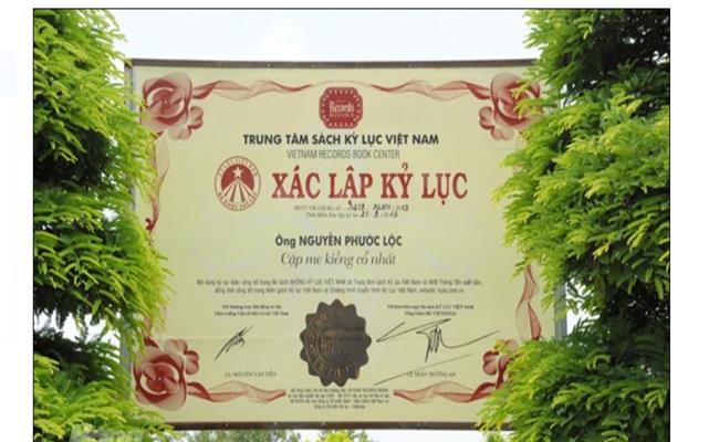 Cặp me của anh Nguyễn Phước Lộc (Đồng Tháp) là cây cảnh được xác lập Kỷ lục Việt Nam - "Cặp me kiểng cổ nhất" vào ngày 21/9/2013.
