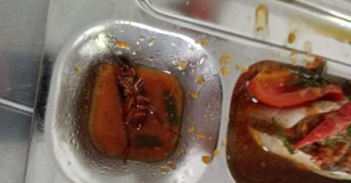 Giáo dục - du học - TPHCM: Kiểm tra bếp ăn nhà trường có gián trong suất cơm của học sinh