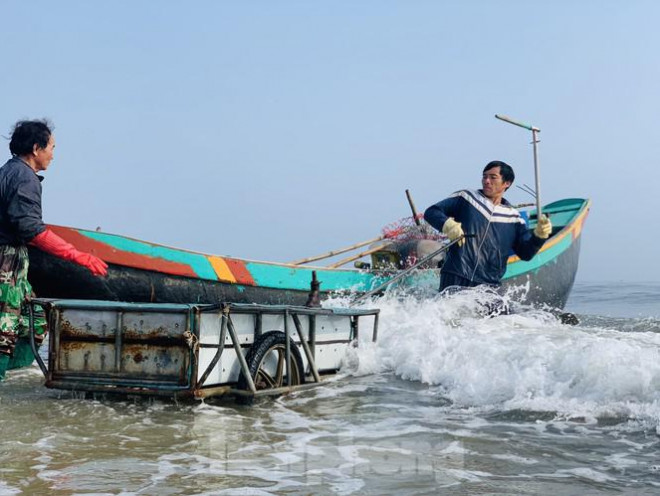 Những ngày này, dọc bờ biển xã Thạch Văn (huyện Thạch Hà, tỉnh Hà Tĩnh) tấp nập ghe thuyền cập bờ. Mỗi thuyền chở vài chục đến hàng trăm kg sứa.