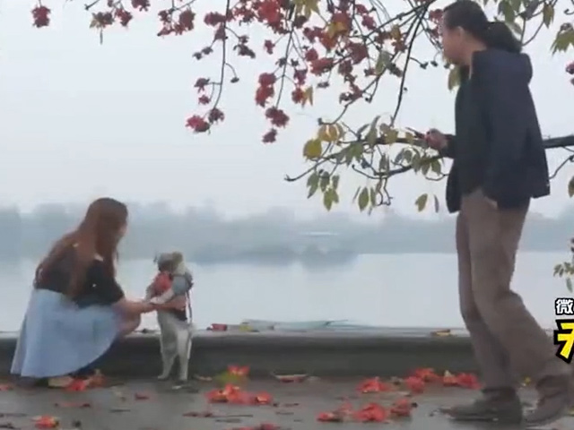 Clip hài hước - Anh chàng quyết sắm thú cưng để tán gái không ngờ bị "sập bẫy"