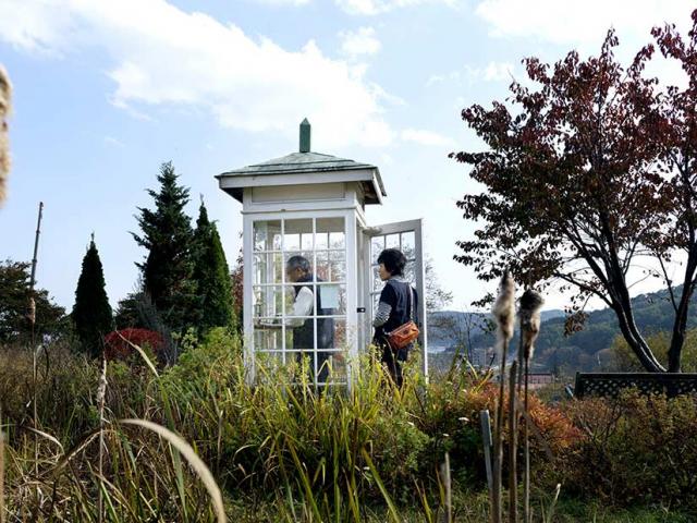 Media - Bí ẩn về "bốt điện thoại của gió", nơi có thể tâm sự với người thân đã khuất