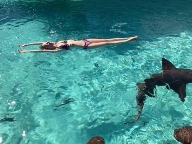 Bạn trẻ - Cuộc sống - "Nhởn nhơ" chụp ảnh cùng cá mập trong tuần trăng mật, cô gái nhận kết cục đau đớn