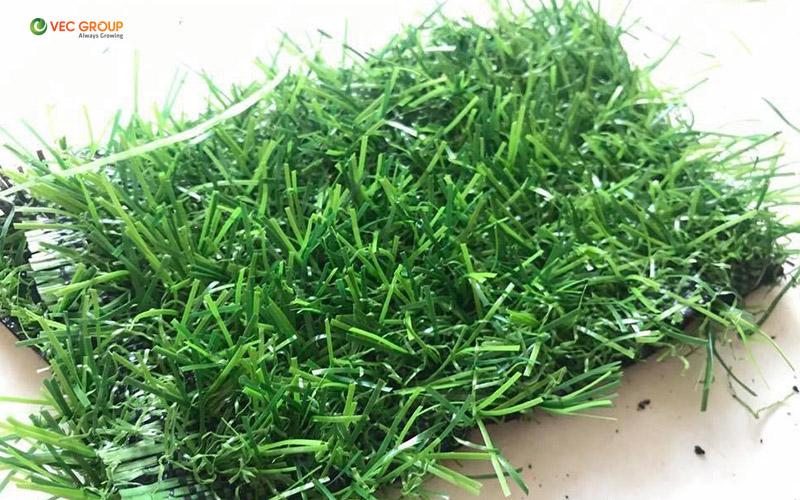 Cỏ nhân tạo giá rẻ, không rõ nguồn gốc trên thị trường