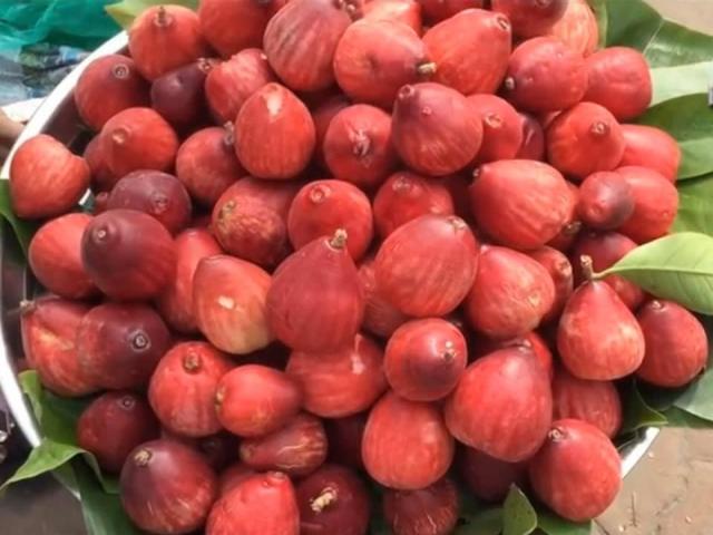 Thị trường - Tiêu dùng - Việt Nam có loại quả cực lạ, 90% người bị nhầm lẫn khi lần đầu nhìn thấy