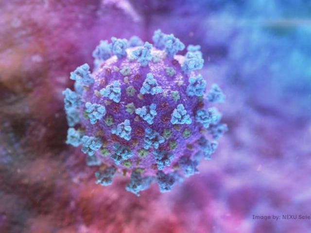 Media - Các loại virus nguy hiểm nhất thế giới được WHO công nhận