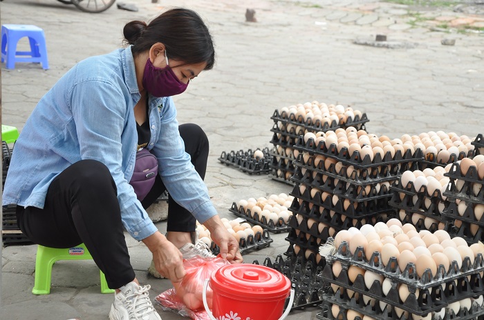 Chị Hạnh phải chở trứng gà lên Hà Nội bán với mong muốn bán thêm được đồng nào hay đồng đấy.