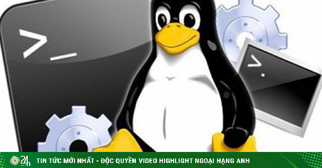 Hệ điều hành Linux là gì? Ưu, nhược điểm, cách cài đặt và sử dụng