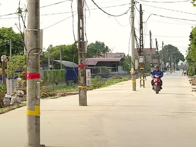 Tin tức trong ngày - Ninh Bình: 40 cột điện "mọc" chình ình giữa lòng đường, không đơn vị nào nhận trách nhiệm