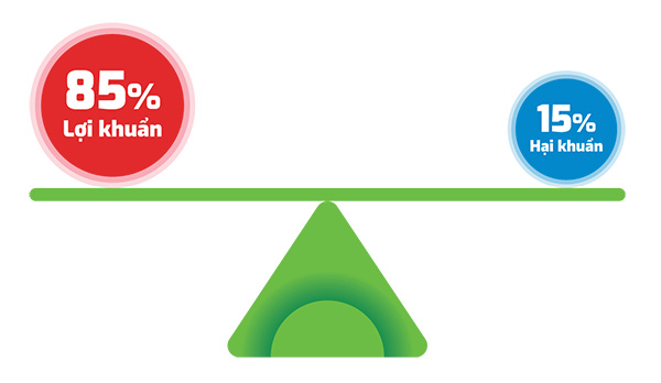 Đau bụng, đi ngoài sau uống rượu bia - cẩn thận "tử thần" ghé thăm - 2
