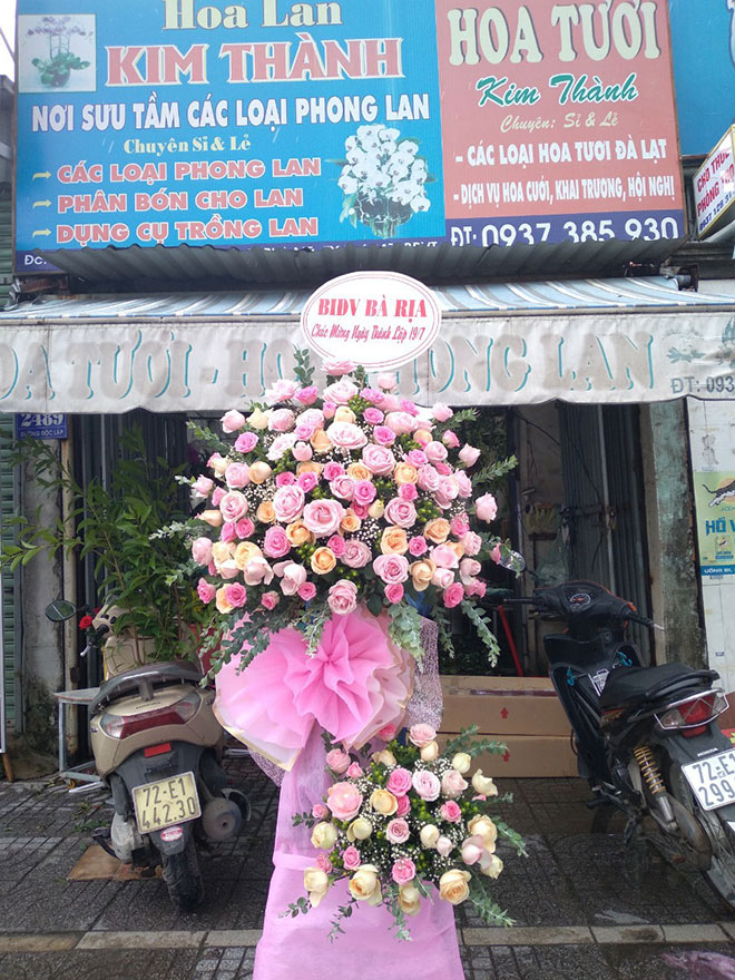 Hoa lan Kim Thành và mô hình kinh doanh lan của bà mẹ bỉm sữa - 2