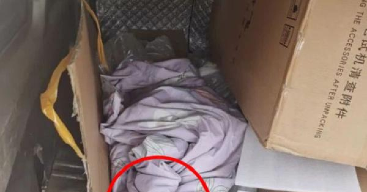 Phi thường - kỳ quặc - Sự thật ngỡ ngàng phía sau vật thể như bàn chân người khiến shipper hoảng hồn báo cảnh sát