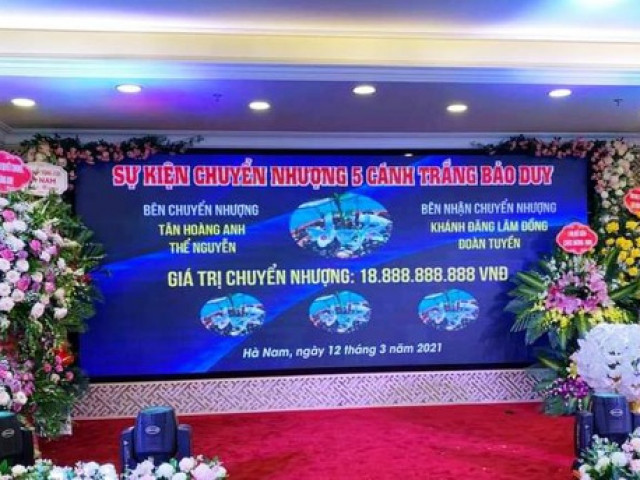 Thị trường - Tiêu dùng - Xuất hiện hình ảnh vụ chuyển nhượng lan Bảo Duy có giá gần 19 tỷ đồng