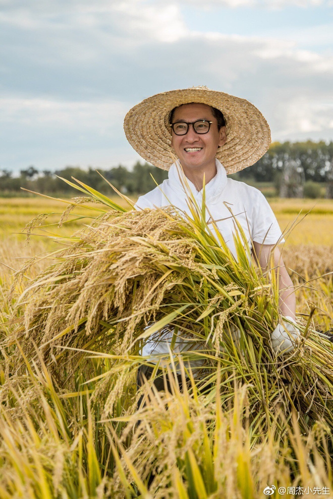 Sao hạng A Trung Quốc hết thời phải đi dọn nhà vệ sinh, làm quán “bia ôm” - 10