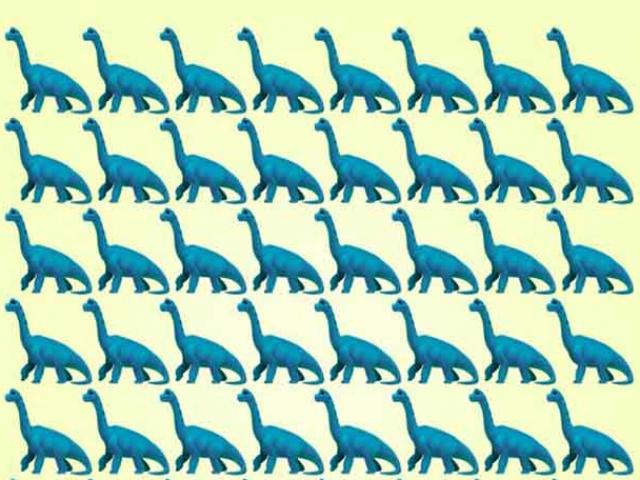 Giáo dục - du học - 10 câu đố thách thức sự chú ý của bạn