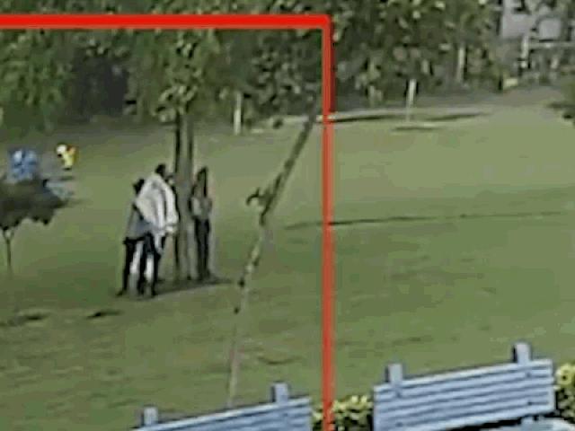 Media - Trú mưa dưới gốc cây, 4 người đàn ông bị sét đánh trúng