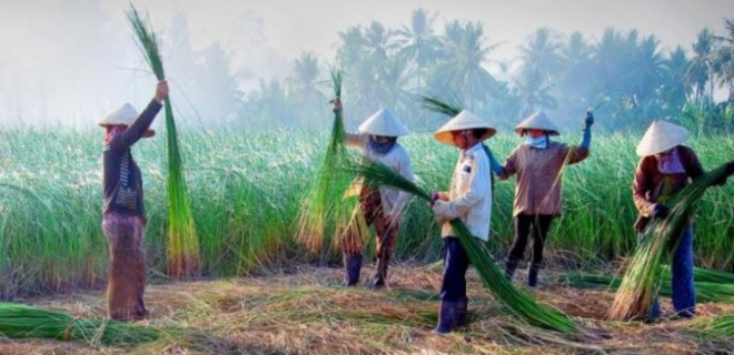 CLIP: Ngỡ ngàng làng chiếu trăm năm được UNESCO vinh danh - 1