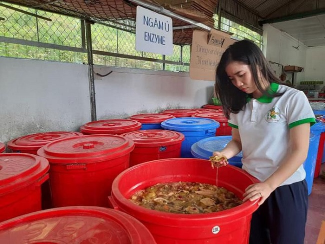 Vợ chồng trẻ “phù phép” vỏ dứa thành chế phẩm sinh học, thu về hàng tỷ đồng - 3