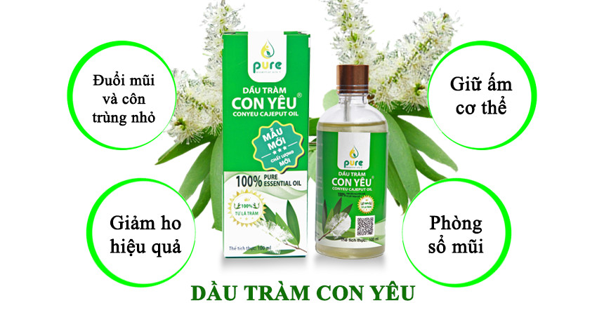 Dầu tràm làm từ cây gì? - 2