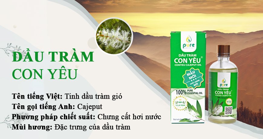Dầu tràm làm từ cây gì? - 1