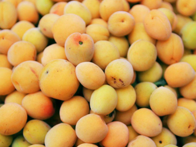 Ẩm thực - Mẹo ngâm mơ muối thơm phức, để lâu ngày mà không bị hư