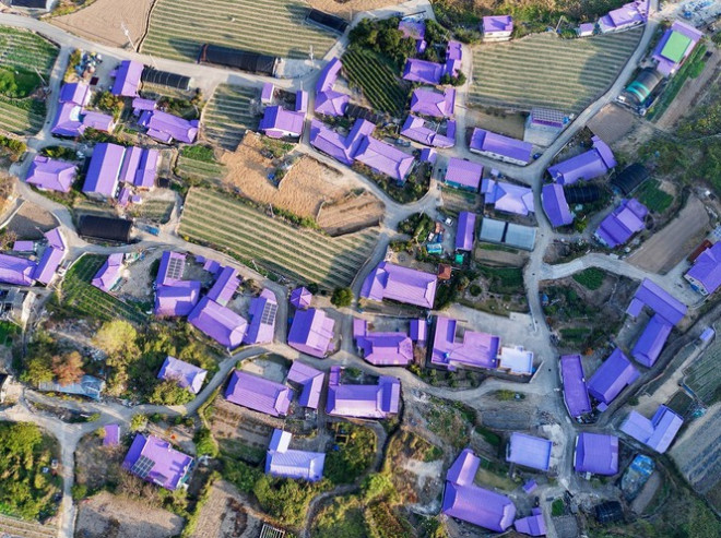 Hàng trăm mái nhà màu tím hoa cà nhìn từ trên cao xuống - Ảnh: KTO