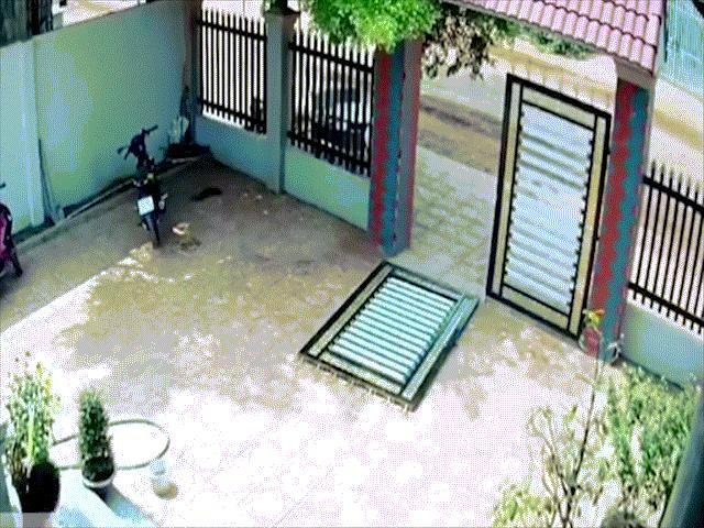 Phi thường - kỳ quặc - Hé lộ chân dung bà bầu 5 tháng cầm rựa "bay" qua bậc thềm cùng chồng võ sư đuổi trộm