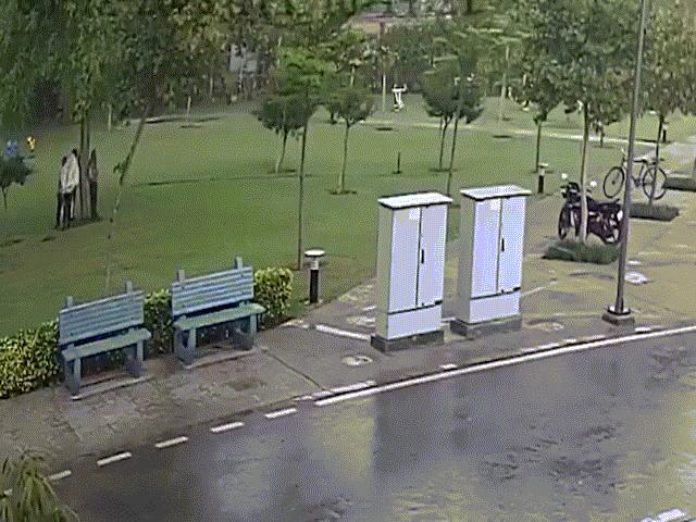 Thế giới - Video: 4 người đàn ông bị sét đánh trúng khi đứng dưới gốc cây ở Ấn Độ