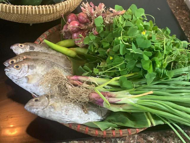 Ẩm thực - Cỏ ba lá cho món canh chua cá ngọt chua thanh mát