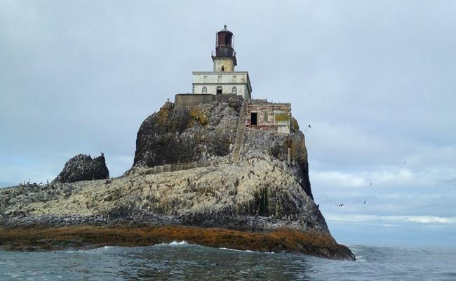 Tillamook ở Mỹ được mệnh danh là “đảo khủng khiếp”. Gọi là đảo, nhưng trên thực tế, nó chỉ là một mỏm đá lớn nằm đơn độc giữa biển Oregon cùng với ngọn hải đăng được xây dựng giống như 1 tòa lâu đài mini. 
