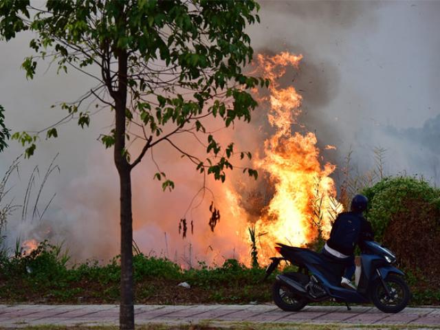 Tin tức trong ngày - Lửa lan rộng hàng chục ha trong Khu Công nghệ cao TP.HCM