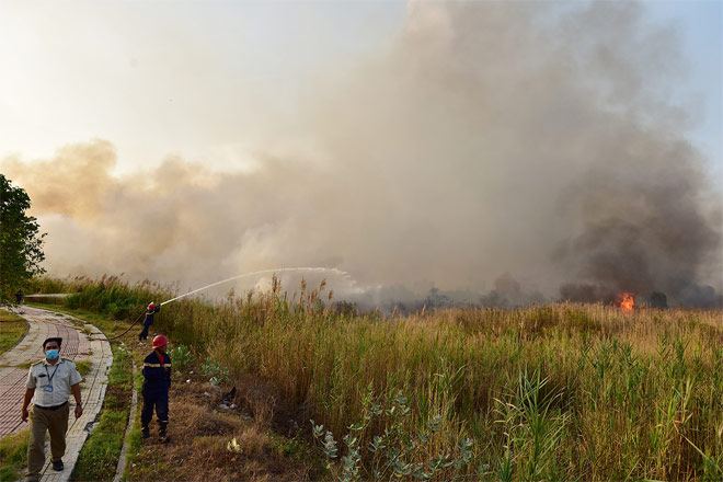 Khoảng 14h30, nhiều người dân gần khu vực Khu Công nghệ cao, phường Tăng Nhơn Phú B, TP.Thủ Đức phát hiện khói lửa bốc lên từ bãi cỏ, chỉ vài chục phút sau ngọn lửa bùng cháy dữ dội lan rộng khắp bãi cỏ.