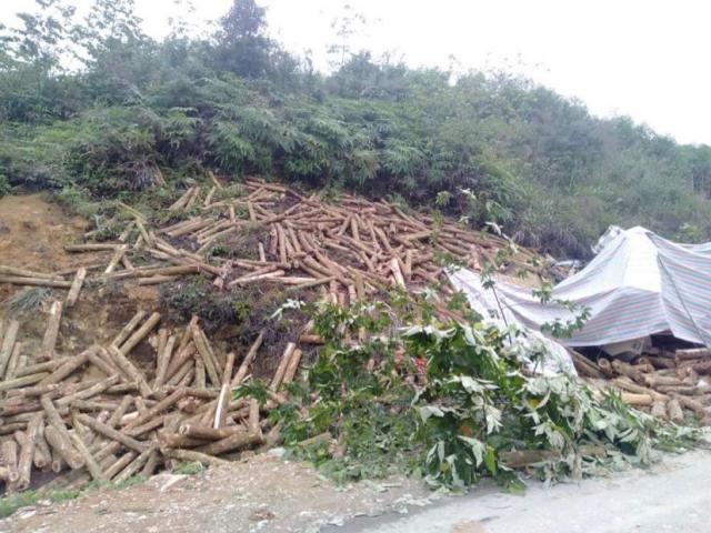 Tin tức trong ngày - Danh tính 7 người thiệt mạng trong vụ tai nạn thảm khốc ở Thanh Hóa