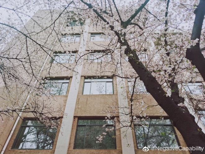 Lãng mạn hệt như một thước phim - Ảnh: Weibo NegativeCapability