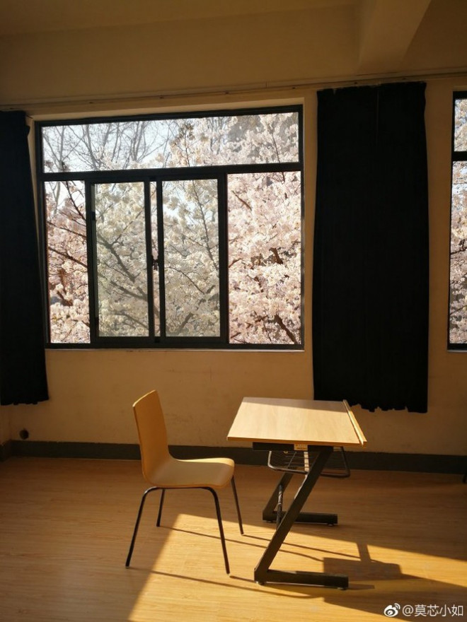 “Lớp học hoa anh đào” đẹp như phim trường hot nhất mạng xã hội - 8