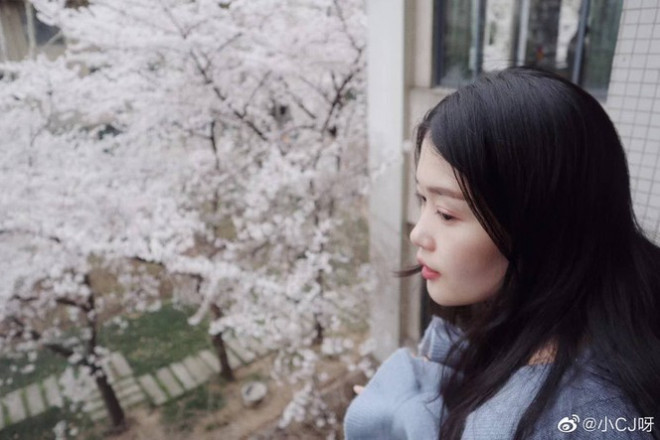 “Lớp học hoa anh đào” đẹp như phim trường hot nhất mạng xã hội - 6