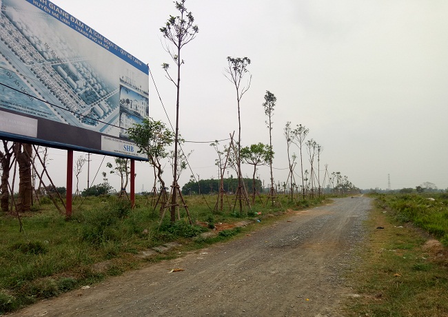 Dự án khu đô thị Mê Linh sau hàng chục năm vẫn chỉ là cánh đồng "nuôi cỏ"